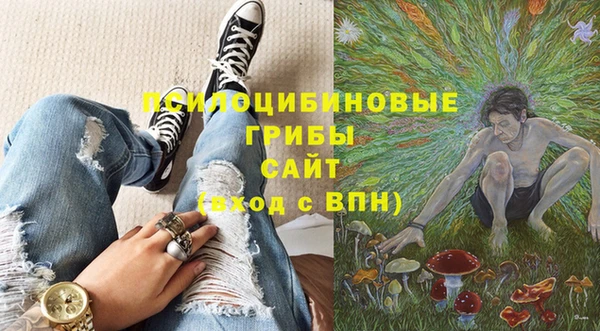 apvp Абаза