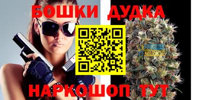 стаф Кингисепп