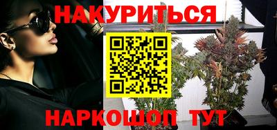прущие грибы Камышлов