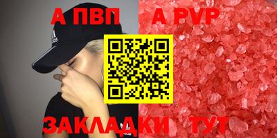 стаф Кингисепп