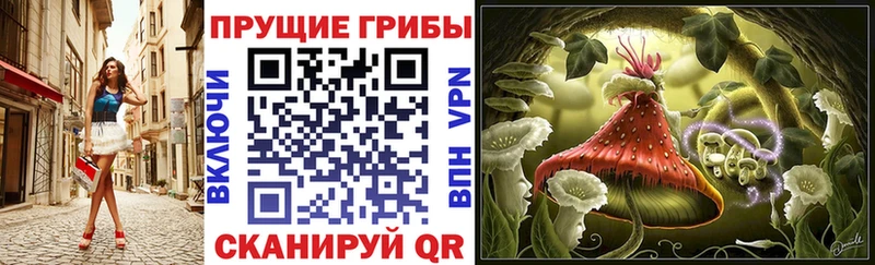 Галлюциногенные грибы Cubensis  Татарск 