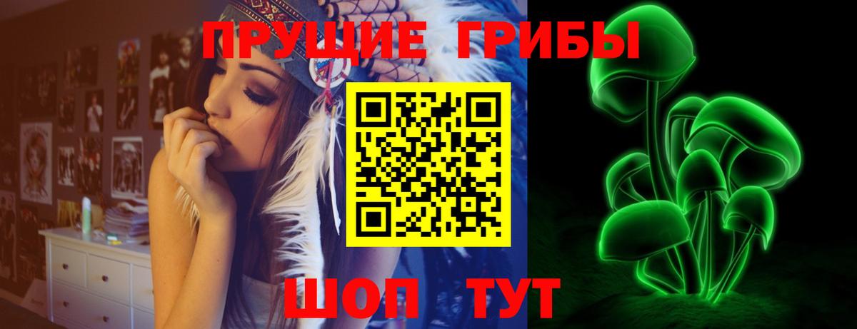 Татарск  Псилоцибиновые грибы мицелий  Вход с VPN  Псилоцибиновые грибы мухоморы 